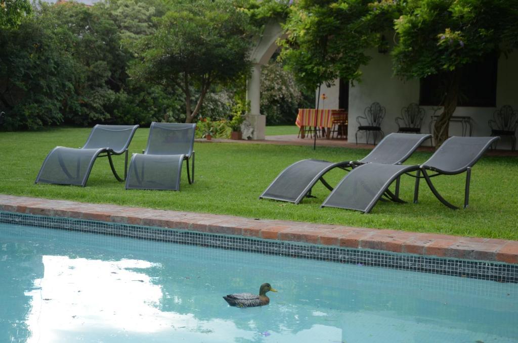 Susana Just Boutique Hotel Vicente López Eksteriør bilde